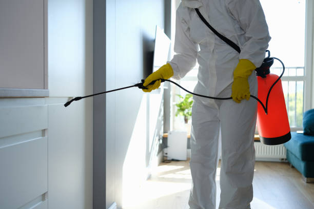 Best Certified Mold Removal  in Murphy, TX